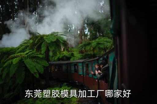 東莞塑膠模具加工廠哪家好