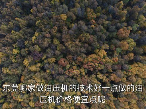 東莞哪家做油壓機的技術好一點做的油壓機價格便宜點呢