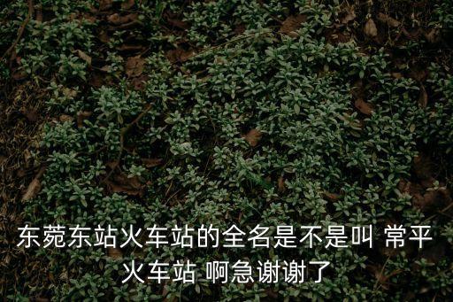 東莞東旁邊有火車站嗎，東莞火車東站附近有長途汽車站嗎