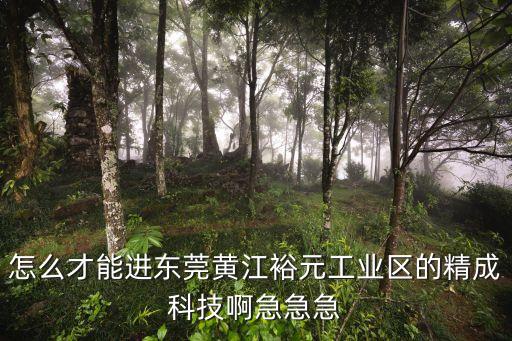 怎么才能進東莞黃江裕元工業區的精成科技啊急急急