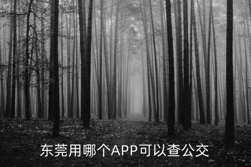 東莞市有掌上公交app嗎，東莞用哪個(gè)APP可以查公交