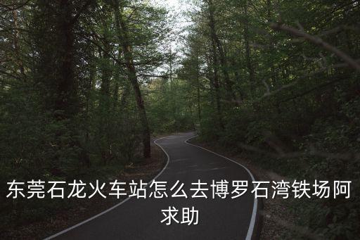 東莞石龍火車站怎么去博羅石灣鐵場阿求助