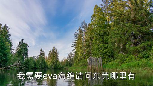 東莞林泰箱包eva加工生產，東莞哪有Eva發泡廠嗎
