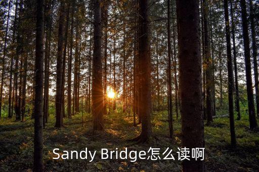 東莞常平瑞基五金有限公司，Sandy Bridge怎么讀啊