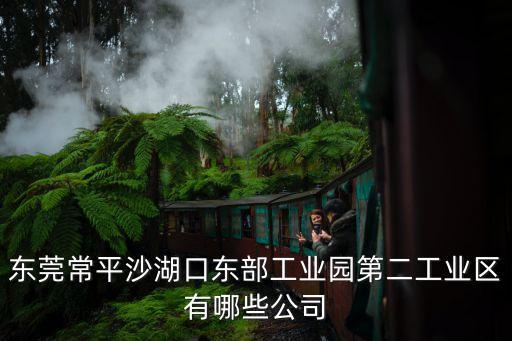 東莞常平沙湖口東部工業(yè)園第二工業(yè)區(qū)有哪些公司