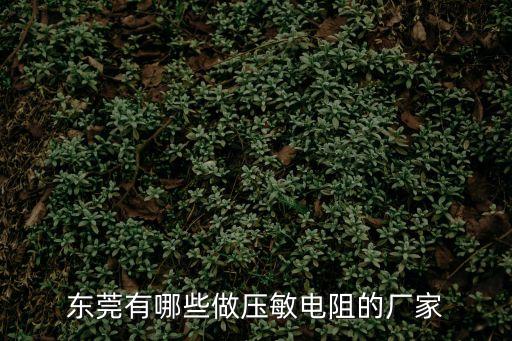 電阻生產廠家東莞，東莞大朗有做電阻的廠嗎