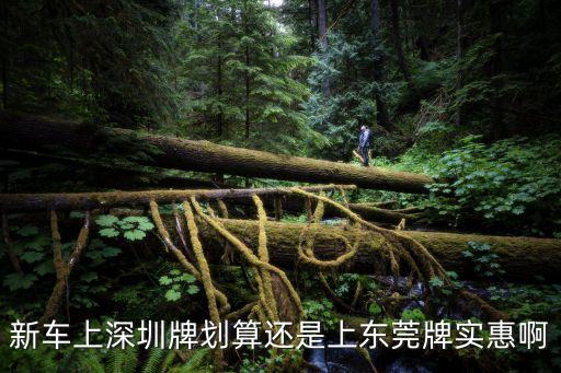 買車東莞還是深圳便宜，新車上深圳牌劃算還是上東莞牌實惠啊