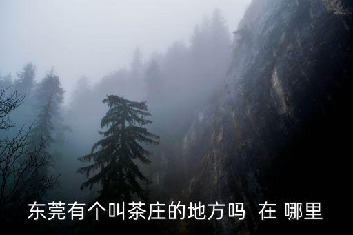 東莞市萬江有哪些茶樓，東莞有個叫茶莊的地方嗎  在 哪里