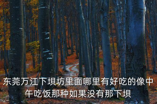 東莞萬江美食街哪里好，東莞萬江下垻坊里面哪里有好吃的像中午吃飯那種如果沒有那下垻