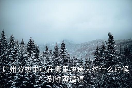 廣州分撥中心在哪里快遞大約什么時候到鐘落潭鎮
