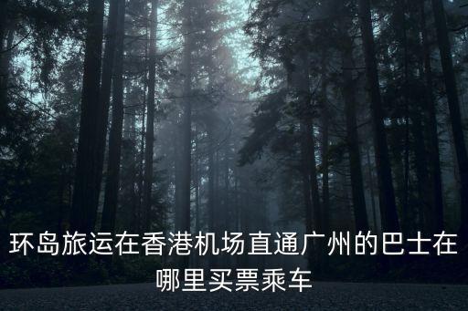 環島旅運在香港機場直通廣州的巴士在哪里買票乘車