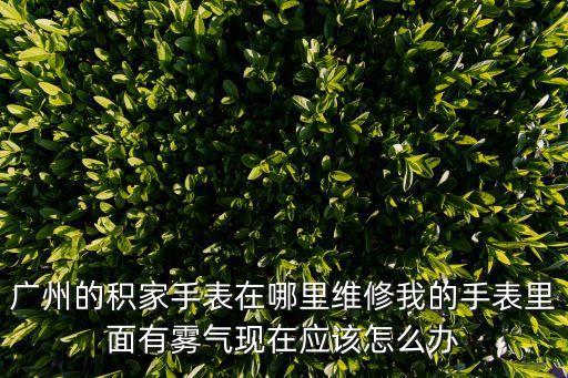 廣州的積家手表在哪里維修我的手表里面有霧氣現在應該怎么辦