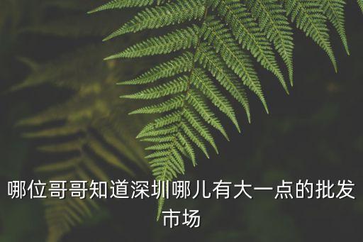 深圳大的批發(fā)市場(chǎng)在哪里，哪位哥哥知道深圳哪兒有大一點(diǎn)的批發(fā)市場(chǎng)