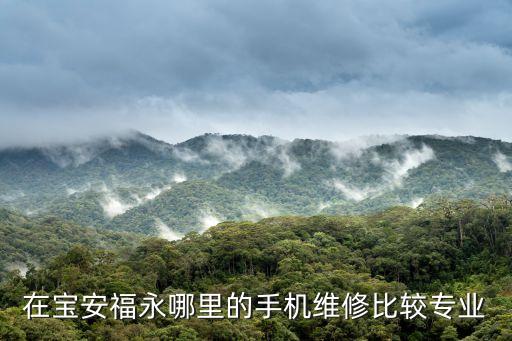深圳福永手機維修開門的，福永最好的手機維修店