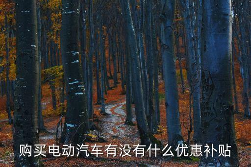 購買電動汽車有沒有什么優惠補貼