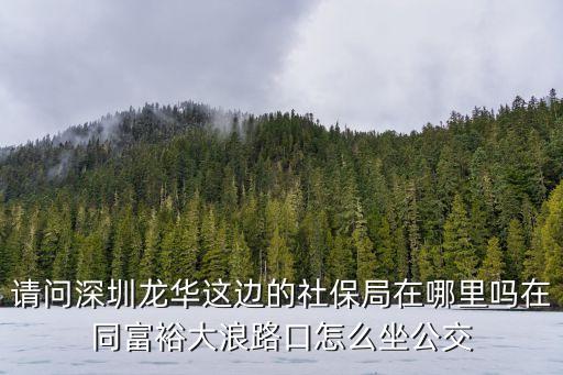 請(qǐng)問深圳龍華這邊的社保局在哪里嗎在同富裕大浪路口怎么坐公交