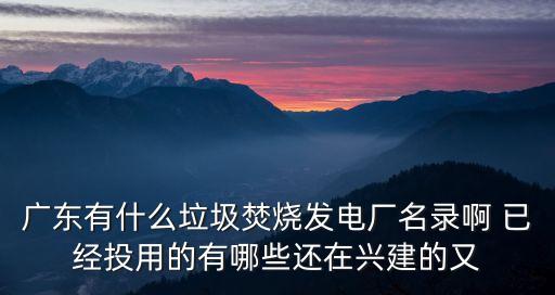 深圳坪山哪里建垃圾焚燒廠，深圳有幾個垃圾站
