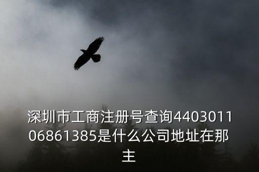 深圳市工商注冊號查詢440301106861385是什么公司地址在那主