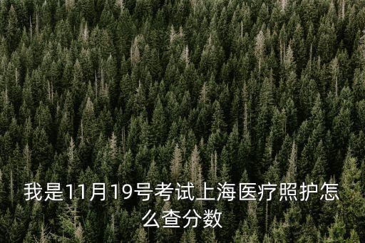 我是11月19號考試上海醫(yī)療照護怎么查分數