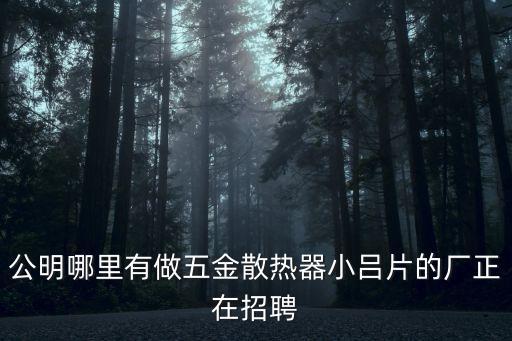 公明哪里有做五金散熱器小呂片的廠正在招聘