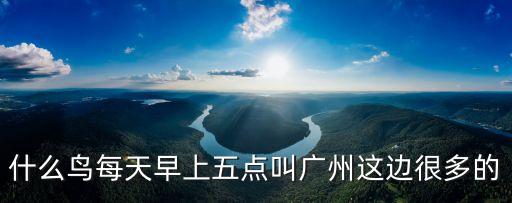 什么鳥每天早上五點叫廣州這邊很多的