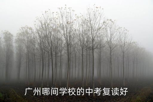 廣州哪間學校的中考復讀好