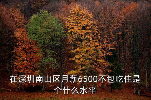 在深圳南山區(qū)月薪6500不包吃住是個(gè)什么水平