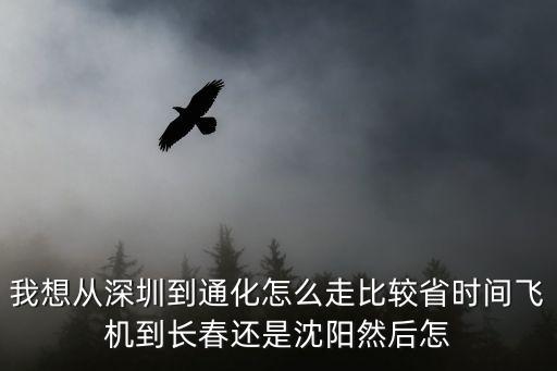 我想從深圳到通化怎么走比較省時間飛機到長春還是沈陽然后怎