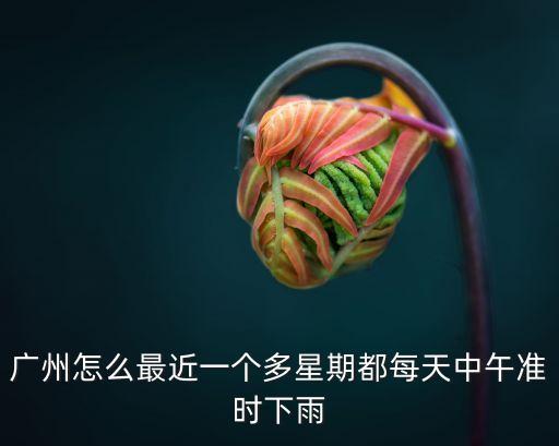 廣州怎么最近一個(gè)多星期都每天中午準(zhǔn)時(shí)下雨