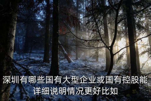 深圳有哪些國有大型企業或國有控股能詳細說明情況更好比如