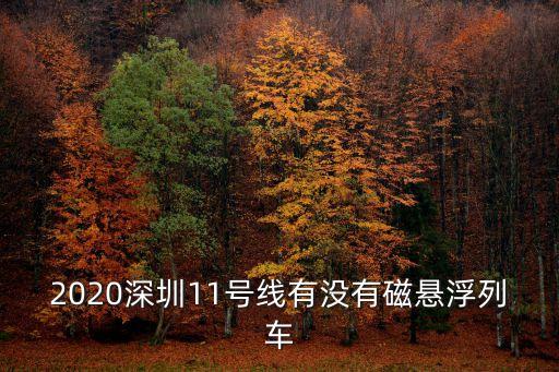 深圳懸浮地鐵列車，磁懸浮列車每小時(shí)可以行駛多少千米