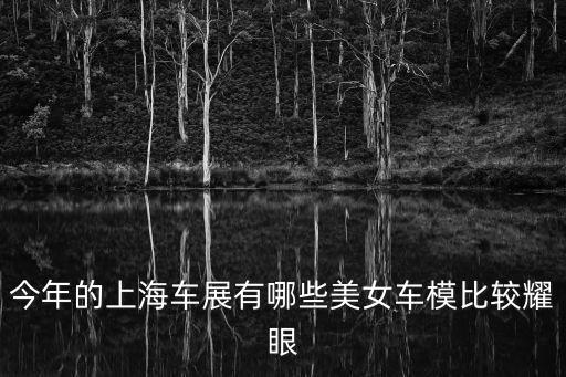 今年的上海車展有哪些美女車模比較耀眼