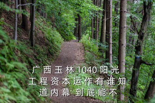 廣 西 玉 林 1040 陽 光 工 程 資 本 運 作 有 誰 知 道 內 幕  到 底 能 不