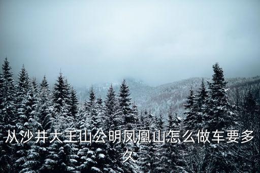 深圳鳳凰山怎么做好吃，從沙井大王山公明鳳凰山怎么做車要多久