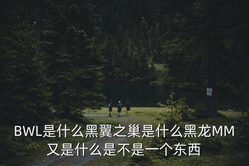 BWL是什么黑翼之巢是什么黑龍MM又是什么是不是一個東西
