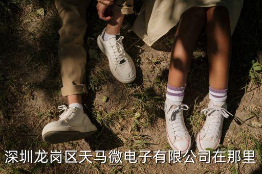 深圳市龍崗區(qū)坪山天馬，深圳龍崗天馬廠