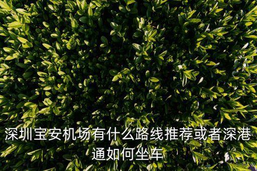 深圳寶安機場有什么路線推薦或者深港通如何坐車