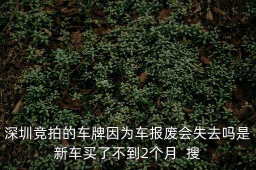 深圳競拍的車牌因為車報廢會失去嗎是新車買了不到2個月  搜