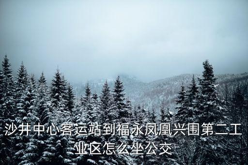 沙井中心客運站到福永鳳凰興圍第二工業(yè)區(qū)怎么坐公交