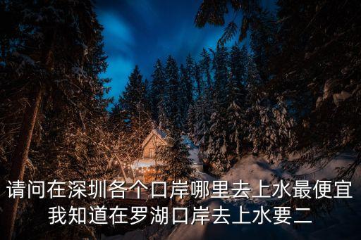 請問在深圳各個口岸哪里去上水最便宜我知道在羅湖口岸去上水要二