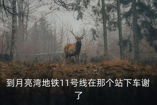 到月亮灣地鐵11號線在那個站下車謝了