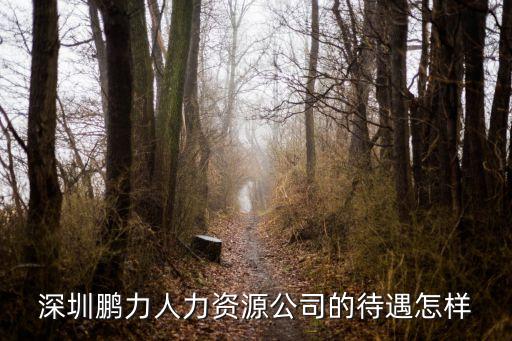 深圳鵬鑫人力中介怎么樣，想問下深圳鵬勞人力資源公司介紹的工作好不好
