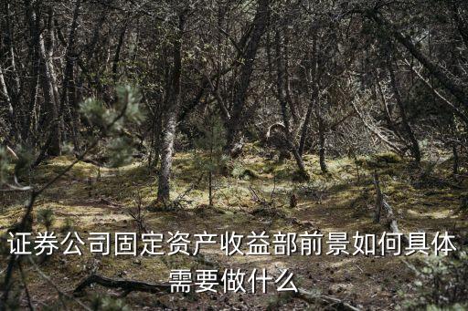 深圳證券固定收益部，證券公司固定資產(chǎn)收益部前景如何具體需要做什么