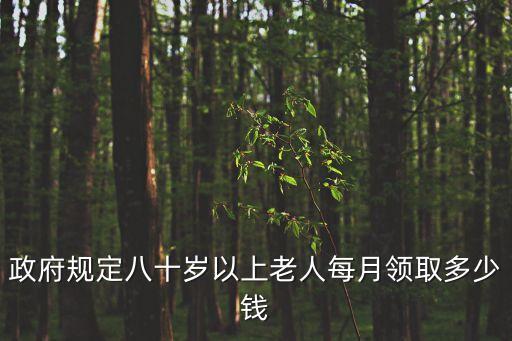 政府規(guī)定八十歲以上老人每月領取多少錢