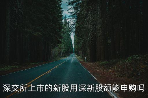 深交所上市的新股用深新股額能申購嗎