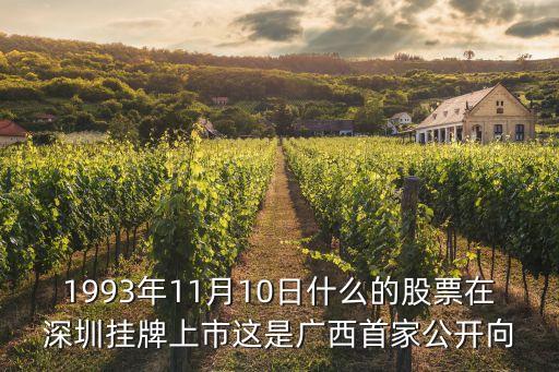 1993年11月10日什么的股票在深圳掛牌上市這是廣西首家公開向