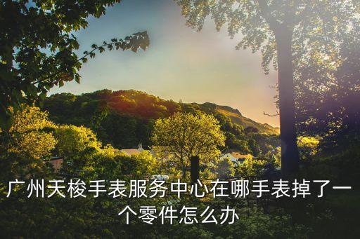 廣州天梭手表服務中心在哪手表掉了一個零件怎么辦