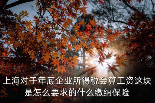 上海市的企業所得稅，上海對于年底企業所得稅會算工資這塊是怎么要求的什么繳納保險