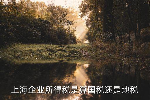 上海企業所得稅是算國稅還是地稅