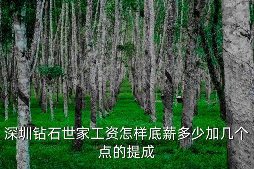 深圳鉆石世家工資怎樣底薪多少加幾個點(diǎn)的提成